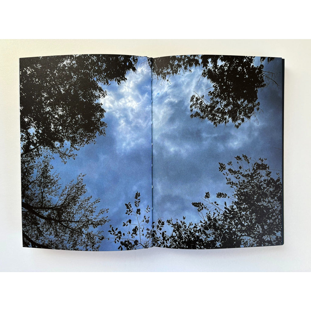 Summer of the White Fox, and After