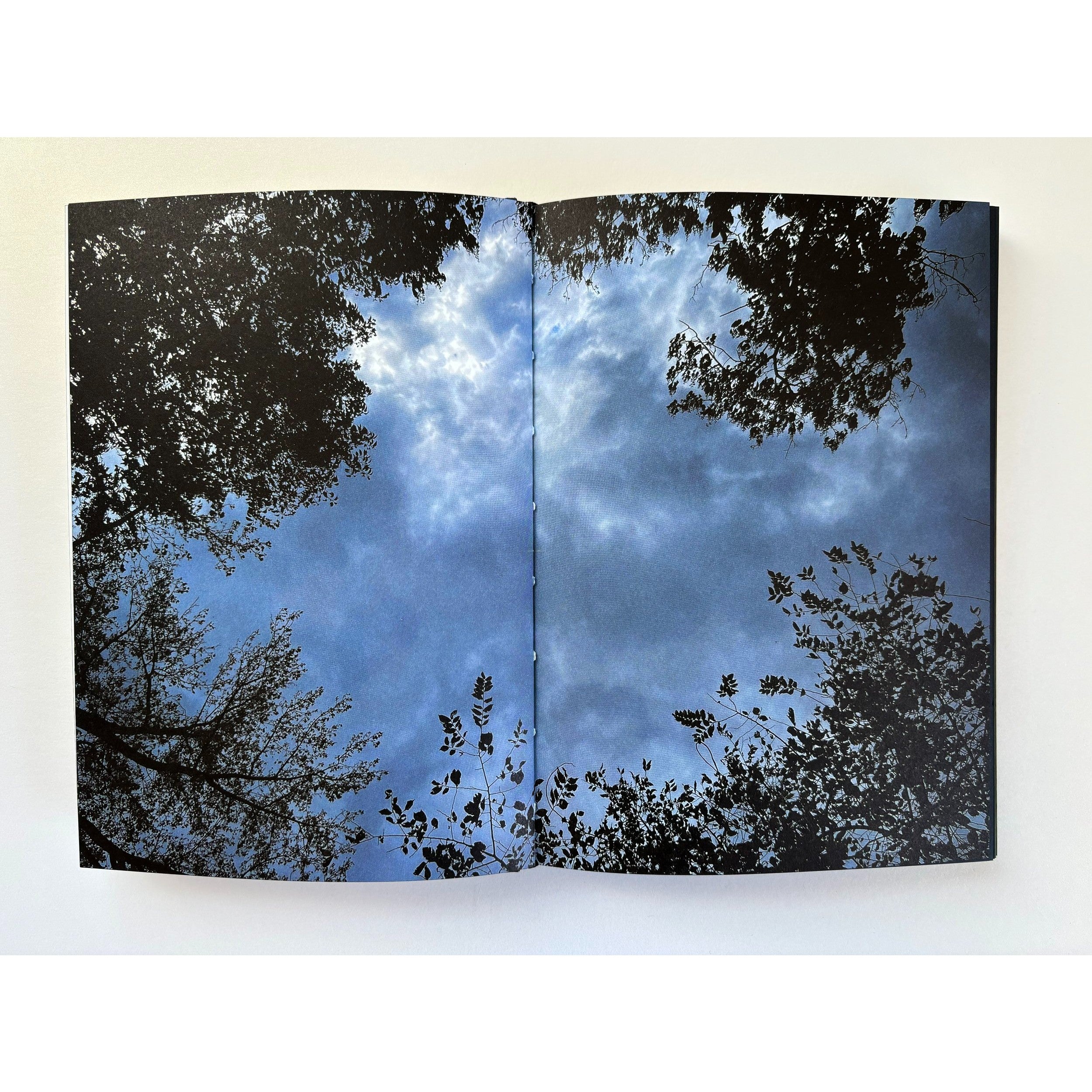 Summer of the White Fox, and After