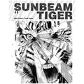 Sunbeam Tiger #1