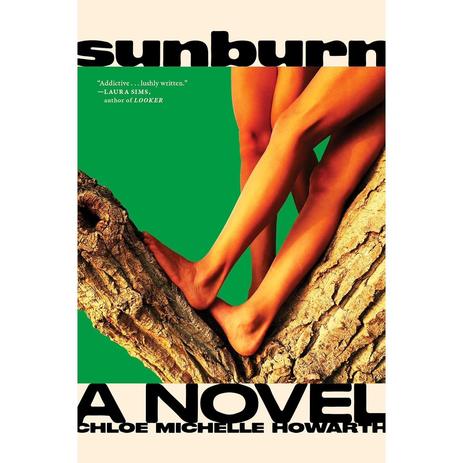 Sunburn A Novel