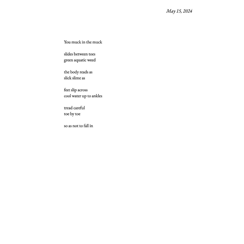 System of Repetitions #2