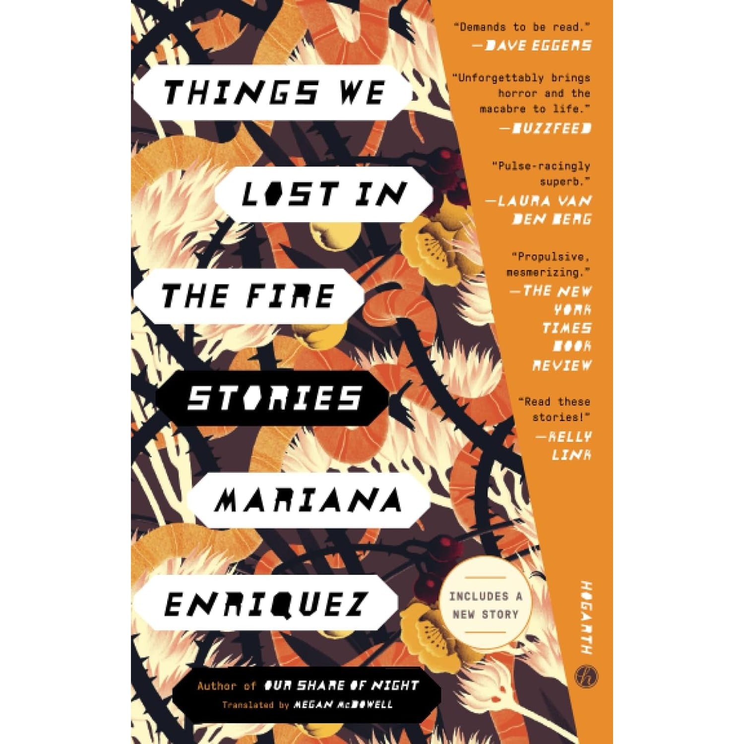 Things We Lost in the Fire: Stories