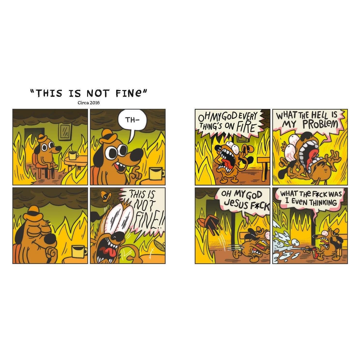 This Is Fine: Life Lessons for a World on Fire