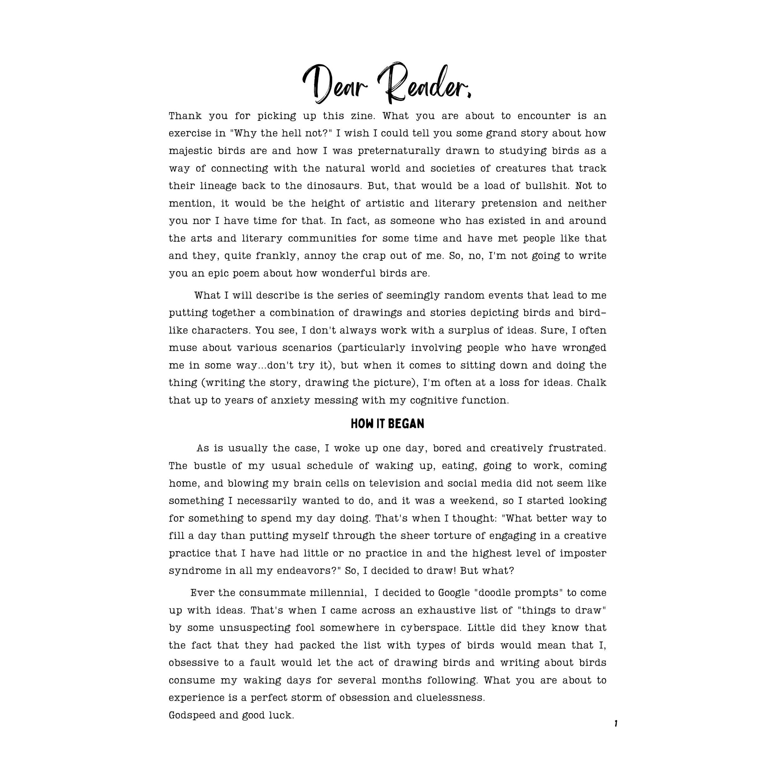 This Zine Won't Fly: Some Bird Shit