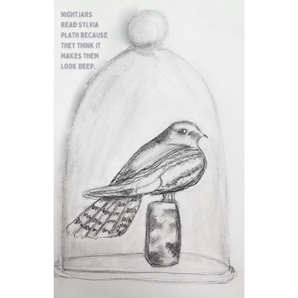 This Zine Won't Fly: Some Bird Shit