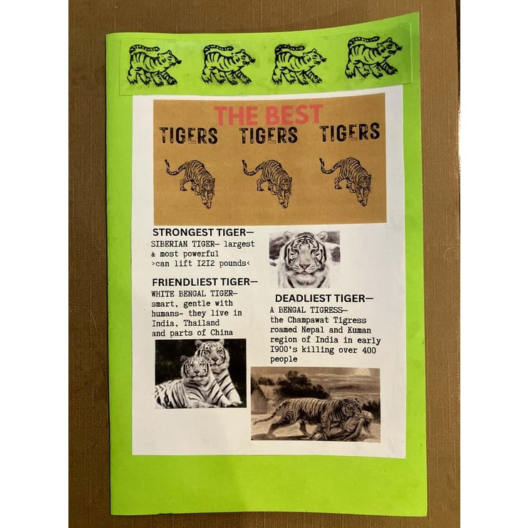 Tiger And Donuts
