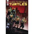 Teenage Mutant Ninja Turtles #140 