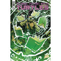 Teenage Mutant Ninja Turtles #142 
