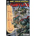 Teenage Mutant Ninja Turtles #20