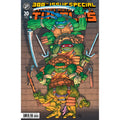 Teenage Mutant Ninja Turtles #20