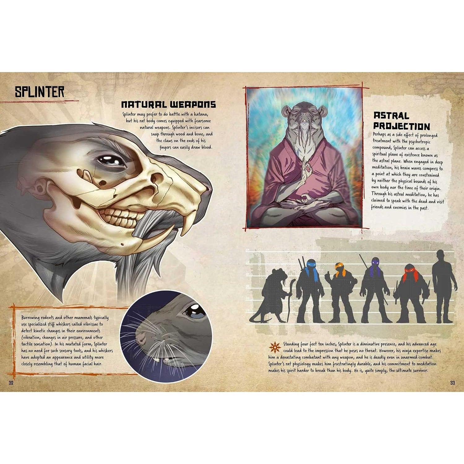 Teenage Mutant Ninja Turtles: Anatomy of a Mutant