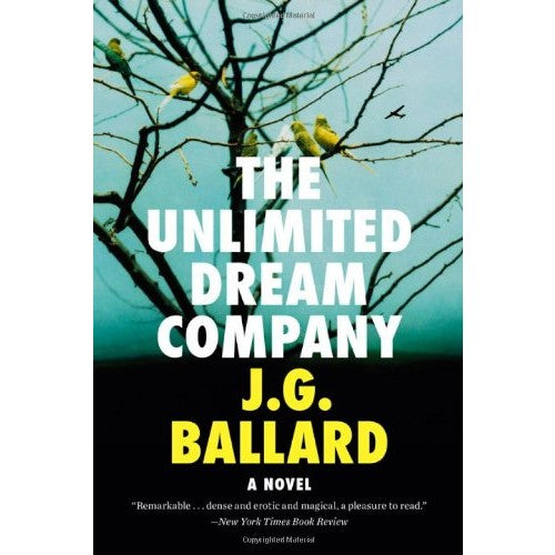 Unlimited Dream Company: A Novel