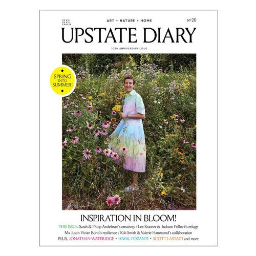 Upstate Diary Magazine #20