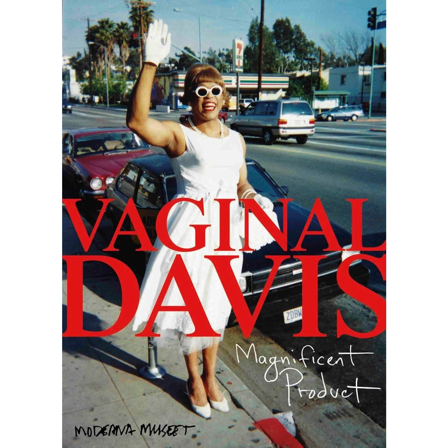 Vaginal Davis: Magnificent Product