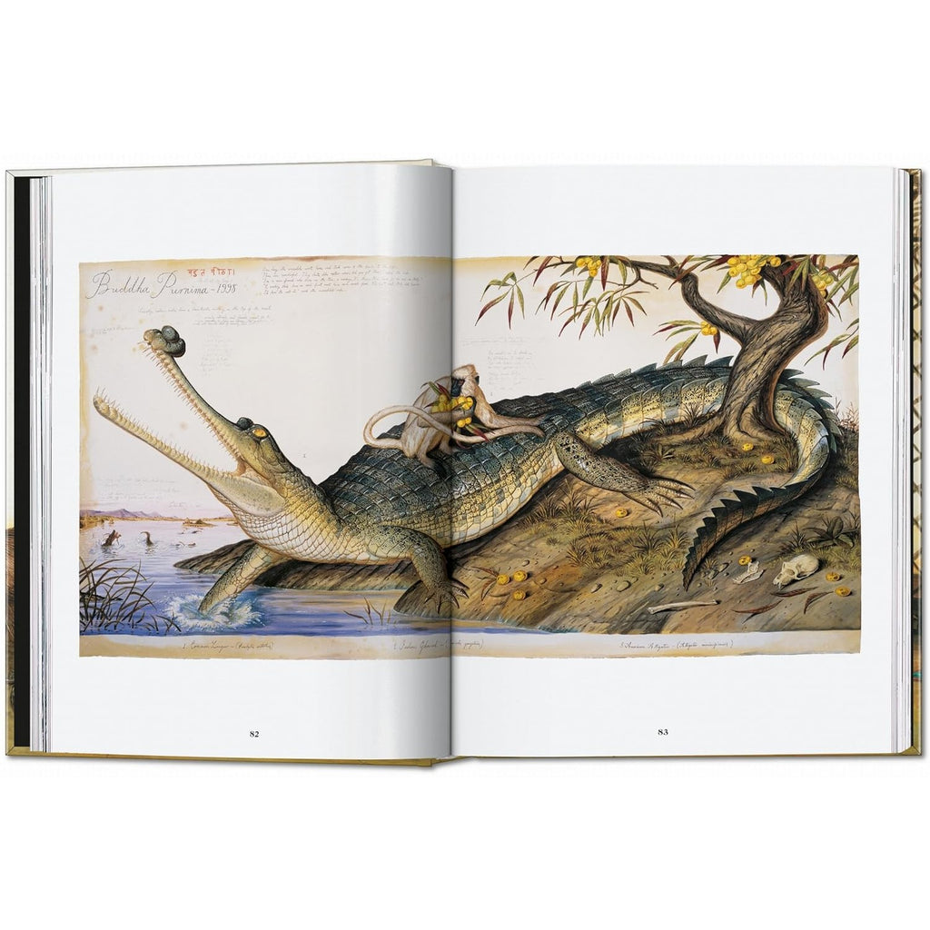 Walton Ford: Pancha Tantra (40th Anniversary Edition)