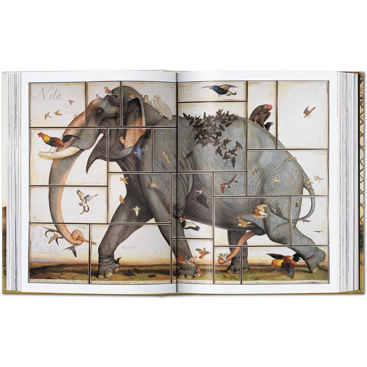 Walton Ford: Pancha Tantra (40th Anniversary Edition)