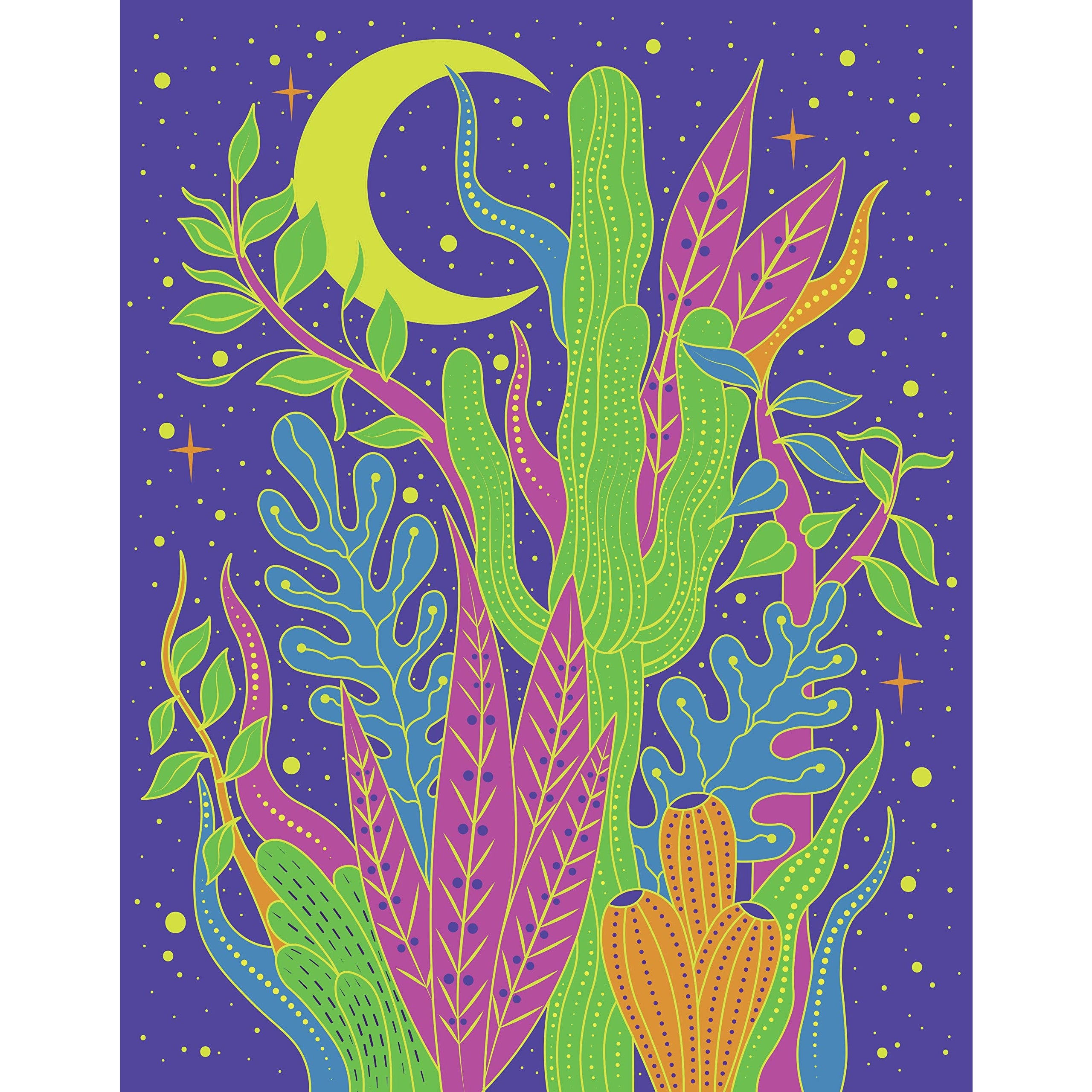 Weird And Wonderful Nature: 14 Black Light Posters – Atomic Books