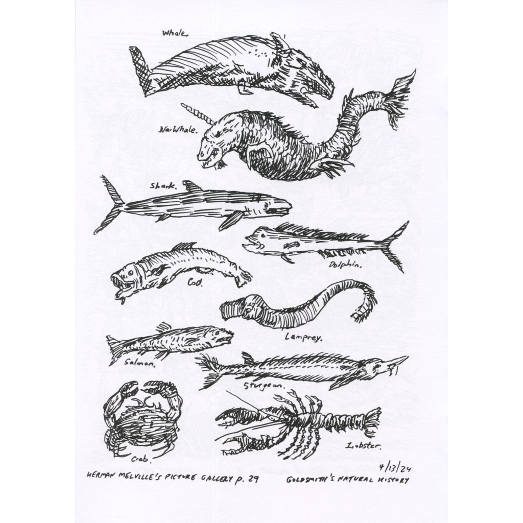 Whaling Sketches: Related to "Moby-Dick" Volume 1: Mar. - May 2024