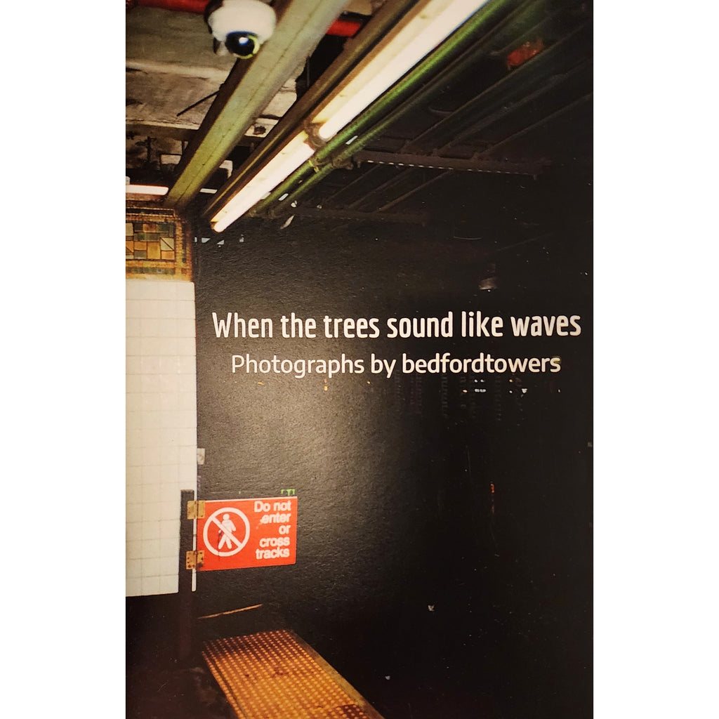 When The Trees Sound Like Waves