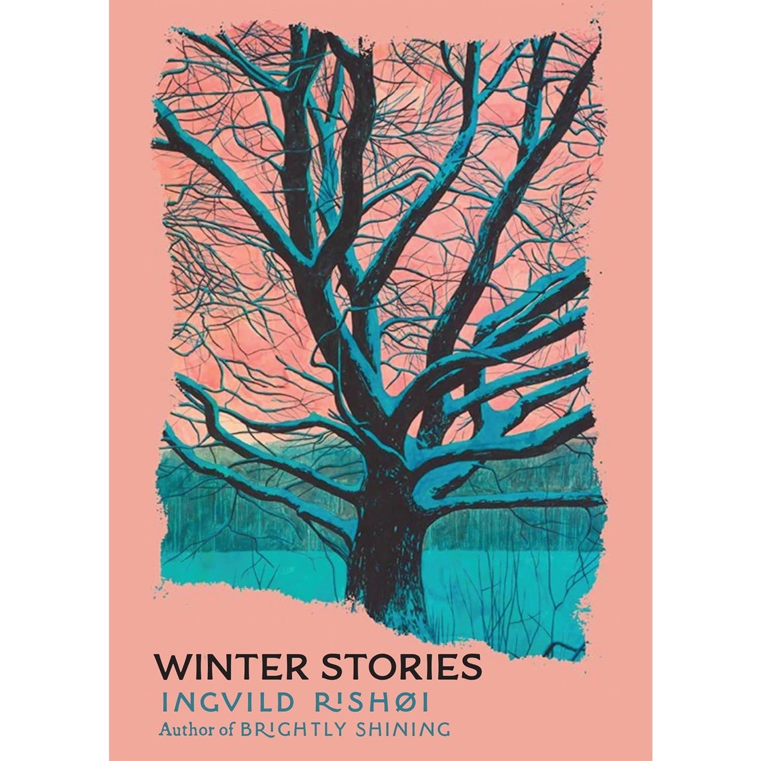 Winter Stories