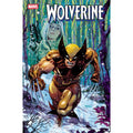 Wolverine #14