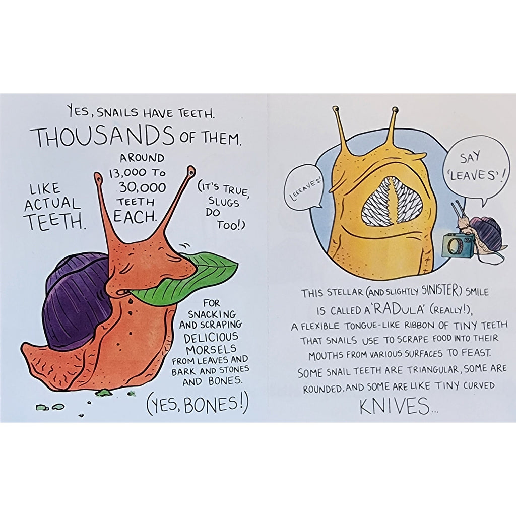 Yes, Snails Have Teeth