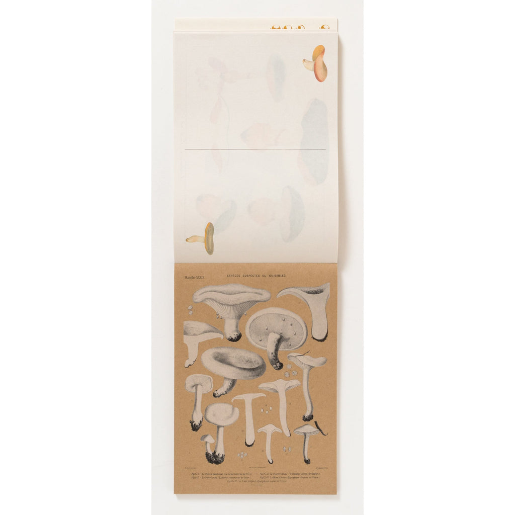 100 Writing and Crafting Papers of Mushrooms