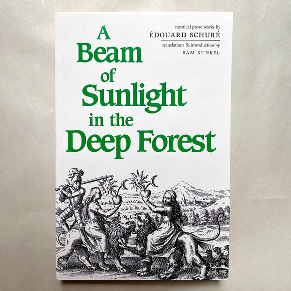 A Beam of Sunlight in the Deep Forest