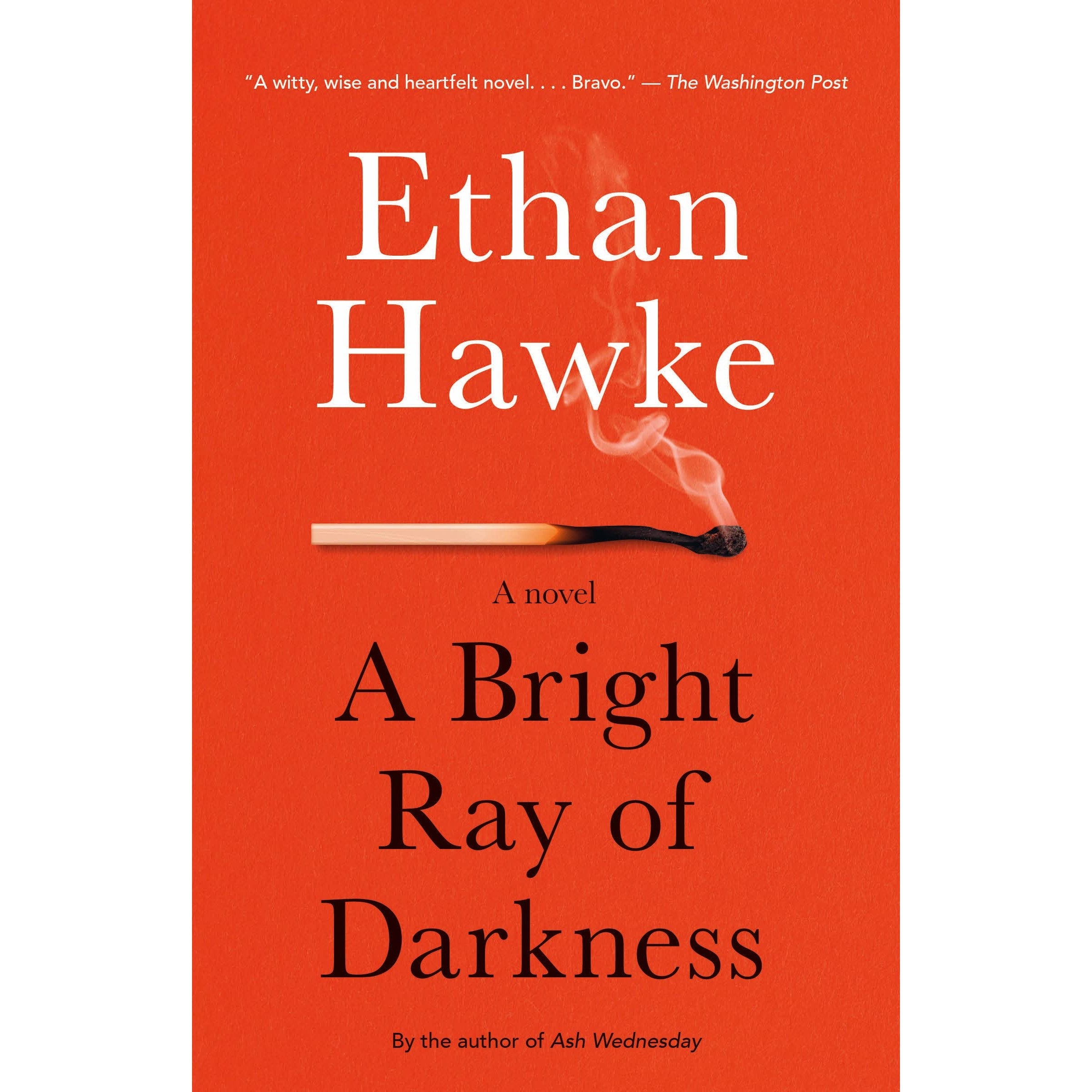 A Bright Ray of Darkness: A Novel
