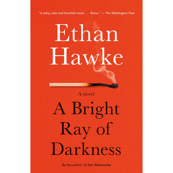 A Bright Ray of Darkness: A Novel