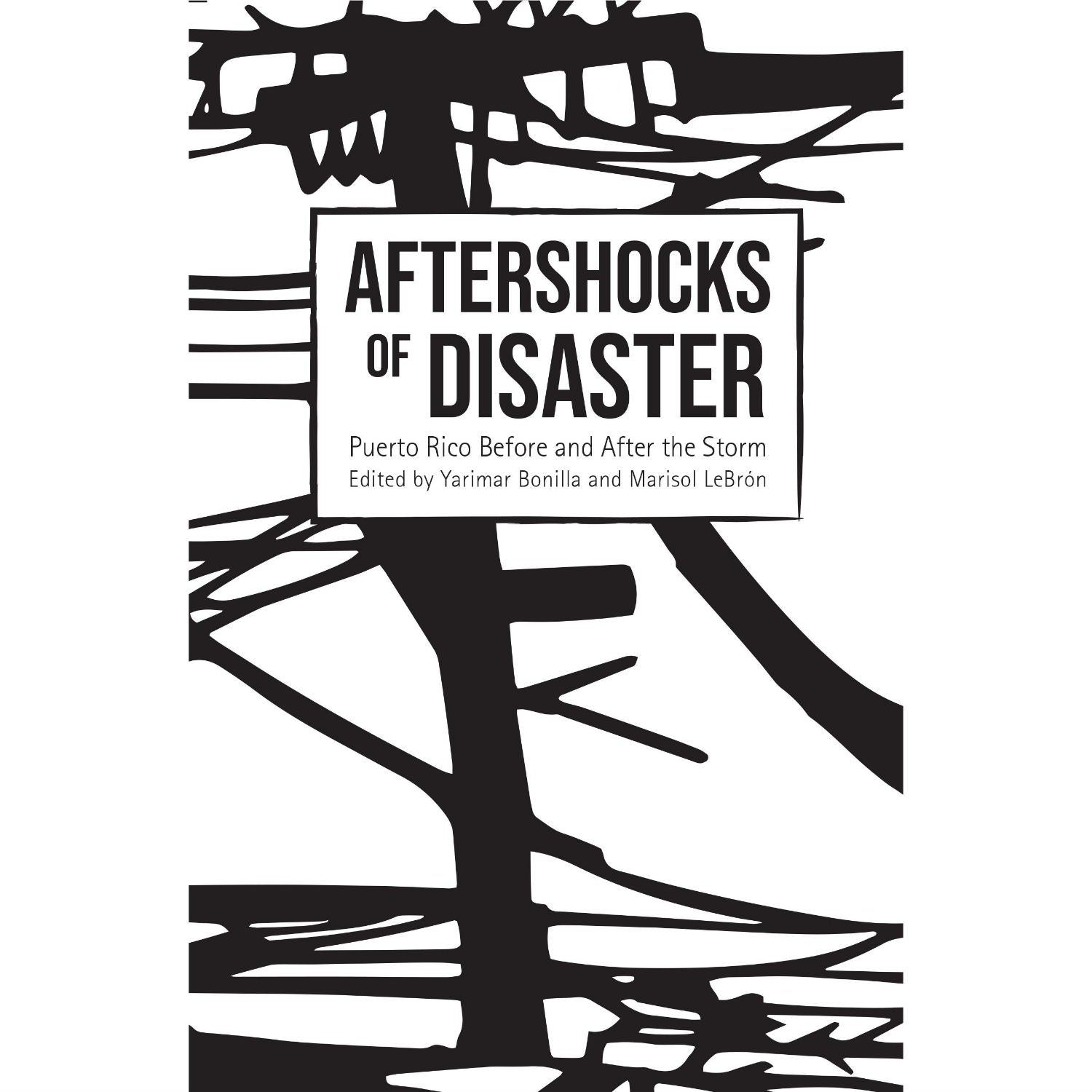 Aftershocks of Disaster