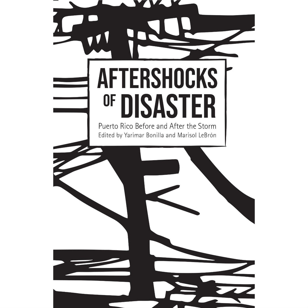 Aftershocks of Disaster