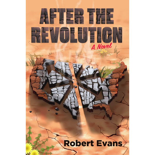 After The Revolution: A Novel