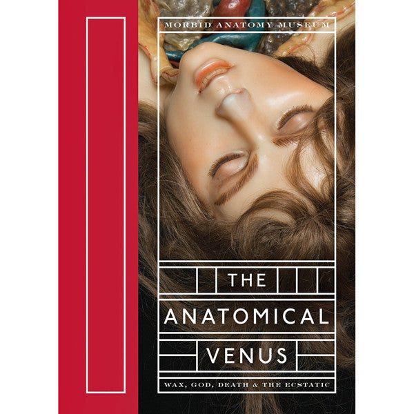 Anatomical Venus: Wax, God, Death and the Ecstatic