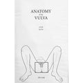 Anatomy Of The Vulva