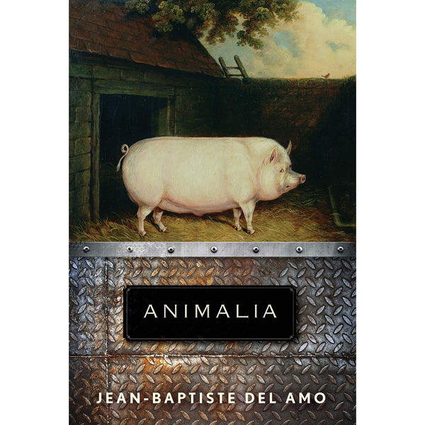 Animalia: A Novel (paperback)