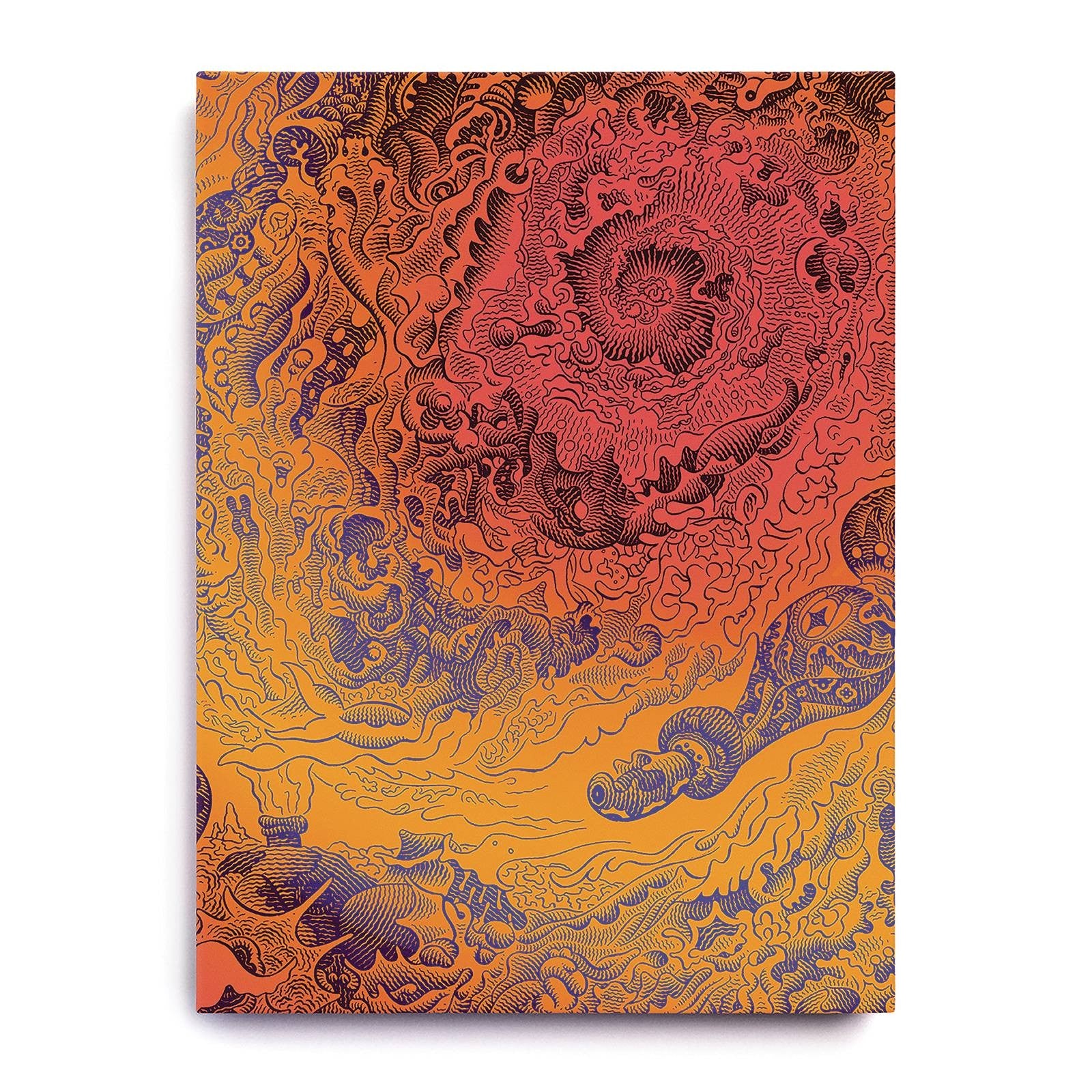A Voyage To Arcturus