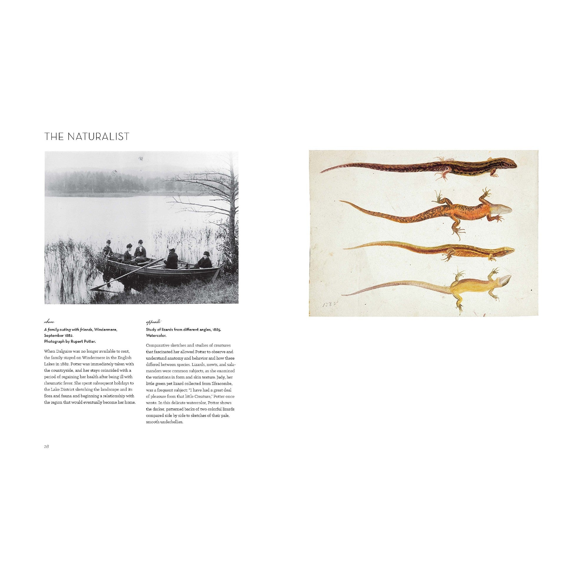  The Art of Beatrix Potter