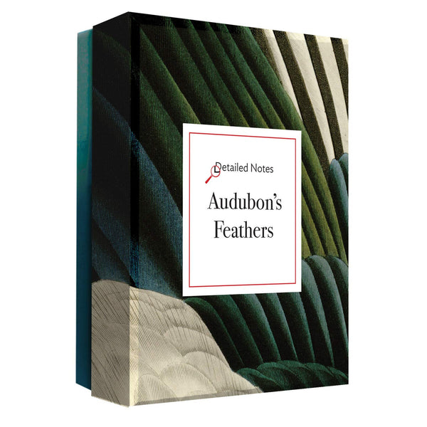 Audubon's Feathers Notecards Box Set