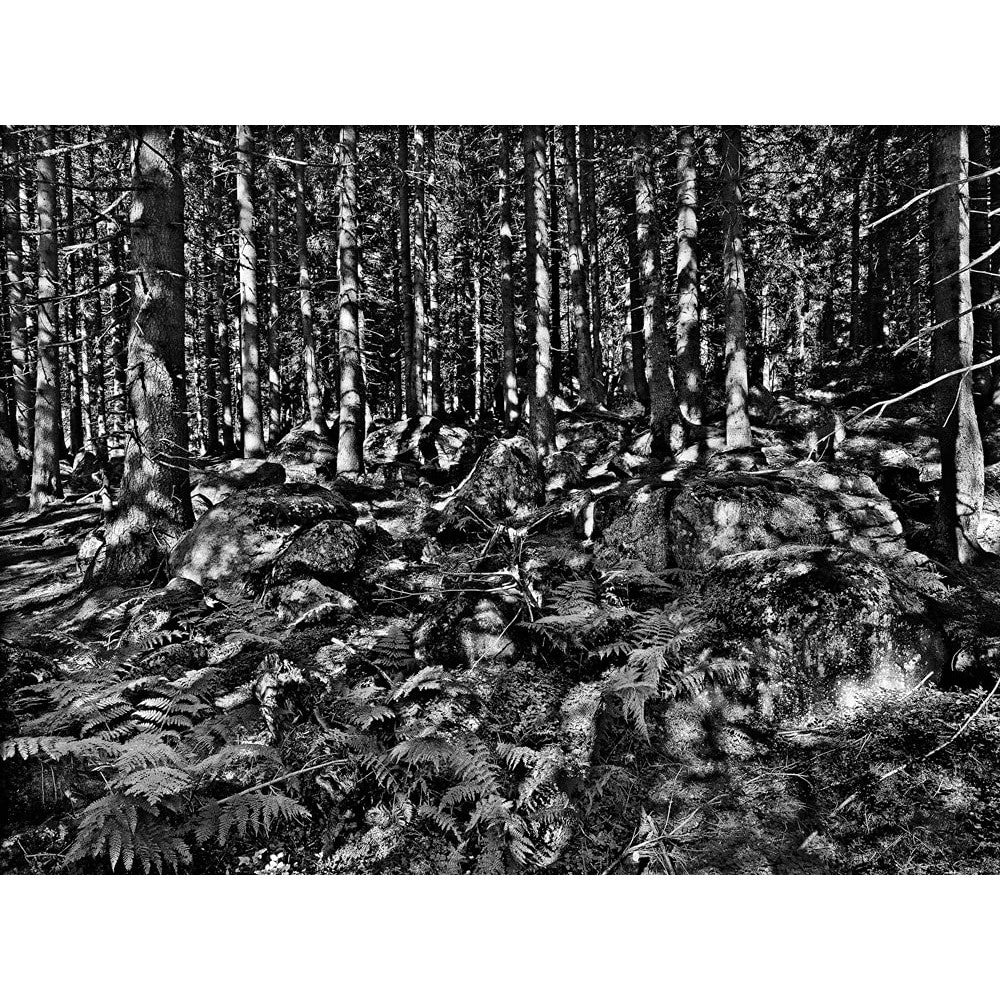 Alberto Venzago: Taking Pictures, Making Pictures