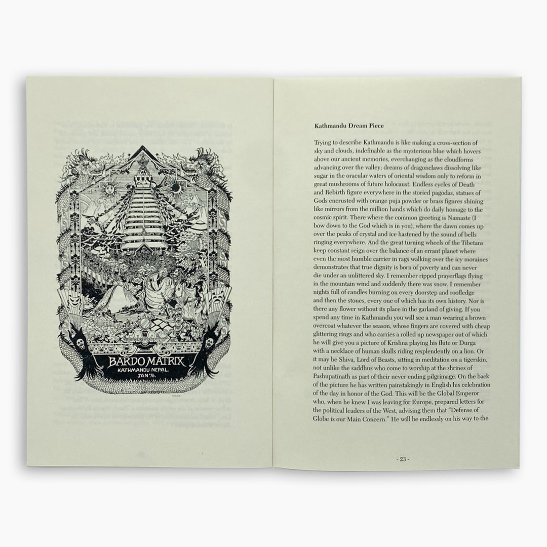 The Bardo Matrix: A Kathmandu Beat Poetry Press