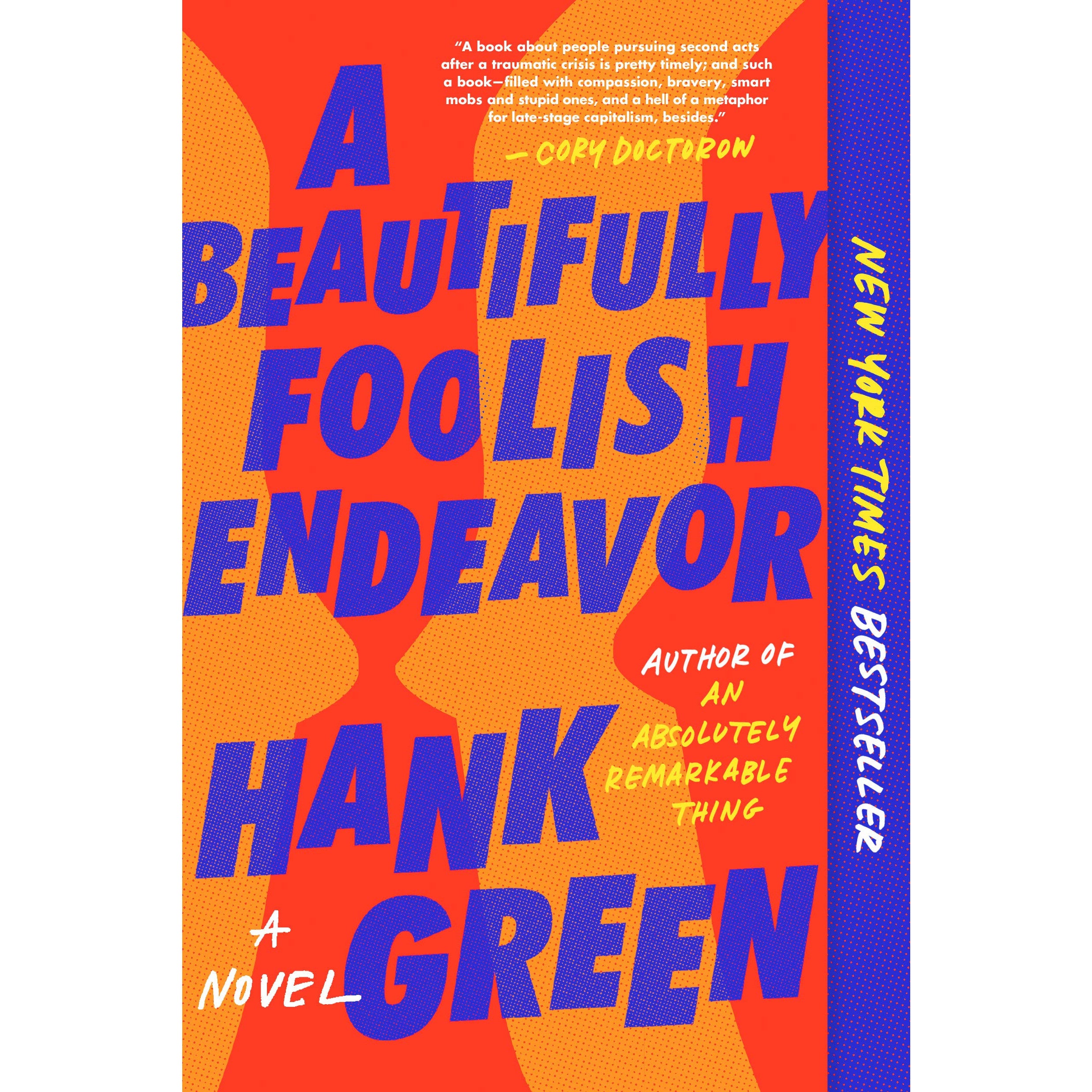 Beautifully Foolish Endeavor: A Novel (paperback)