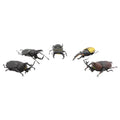 Beetle And Stag Beetle Hunter Blindbox Figure (Series 2)
