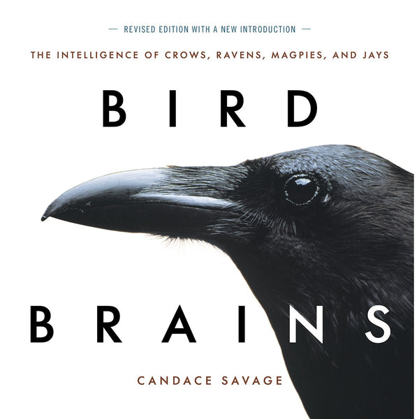 Bird Brains: The Intelligence of Crows, Ravens, Magpies, and Jays