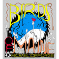 Birds of Maine 