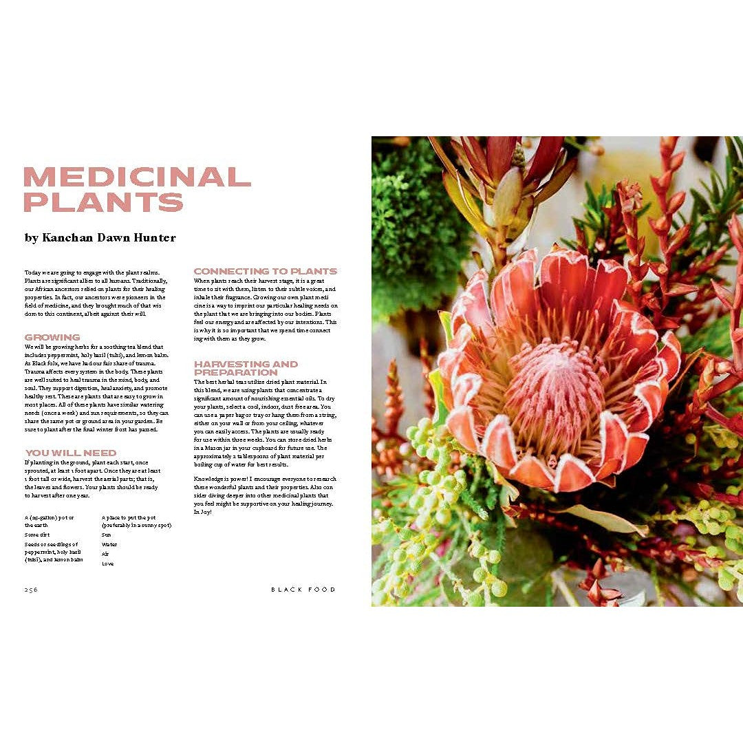 Black Food: Stories, Art, and Recipes from Across the African Diaspora