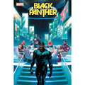 Black Panther #12