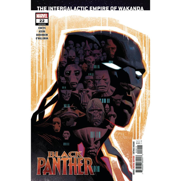 Black Panther #22 (regular cover)