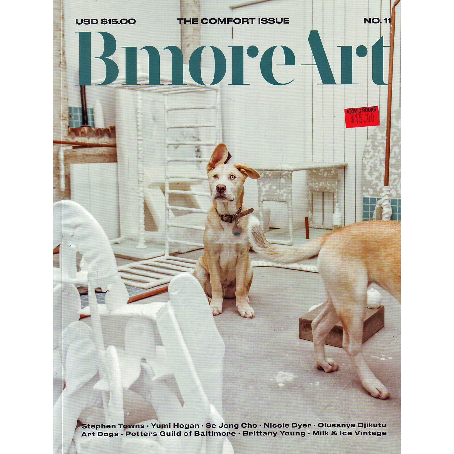 BmoreArt Magazine #11