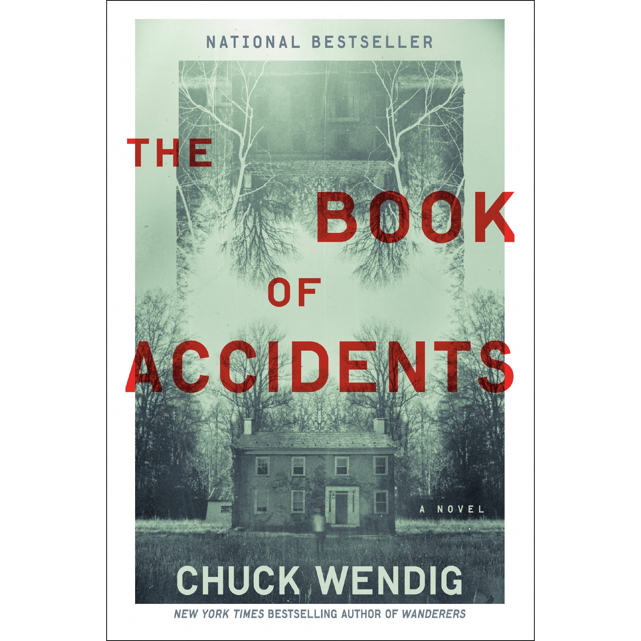 The Book of Accidents: A Novel